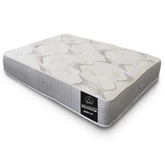 1000 Pocket With Foam Mattress