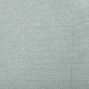 Austin : Silver